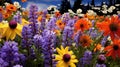 nature british columbia flowers