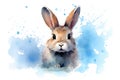 Nature bunny background easter hare rabbit isolated mammal fluffy illustration cute watercolor animal white Royalty Free Stock Photo