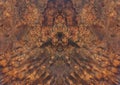 Burma padauk burl wood striped Exotic wooden beautiful pattern for texture background Royalty Free Stock Photo