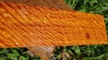 Nature Burma padauk wood has tiger stripe or curly stripe grain, Afzelia wood exotic beautiful pattern for crafts or abstract art