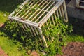 Nature in a cage. Ccage with locked plants