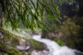 Nature Carpathians in the rain. Near the waterfall Kamyanka Royalty Free Stock Photo