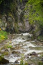 Nature Carpathians in the rain Royalty Free Stock Photo