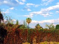 Nature cielo sky enviorement blue green Royalty Free Stock Photo