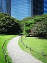 Nature in the city