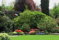 Nature in the City: Bright view of Queen Elizabeth Park Garden, Vancouver, May 2018