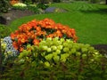 Nature in the City: Sweet colorful flower beds in bloom, Vancouver, May 2018