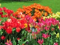 Nature in the City: Sweet colorful flower beds in bloom, Vancouver, May 2018