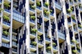 Nature in the city, trees on balconies