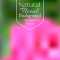 Nature color background