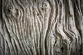 Nature color wood texture background. Old wooden texture Royalty Free Stock Photo