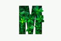 Nature concept alphabet of green leaves in alphabet letter M Royalty Free Stock Photo