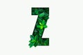 Nature concept alphabet of green leaves in alphabet letter Z Royalty Free Stock Photo