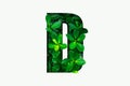 Nature concept alphabet of green leaves in alphabet letter D Royalty Free Stock Photo