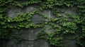 nature concrete brick wall Royalty Free Stock Photo