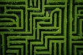 Puzzle pattern solution complexity maze green concept game background labyrinth hedge lost path