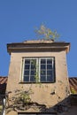 Nature conquered a house in the old town, dormer with window