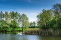 Nature conservation area with trees a small lake at sunshine Royalty Free Stock Photo