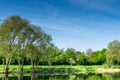 Nature conservation area with trees a small lake at sunshine Royalty Free Stock Photo