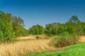 Nature conservation area with trees a small lake at sunshine Royalty Free Stock Photo