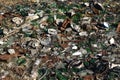 Nature contaminated by glass metal plastic waste - Pollution