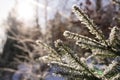 Nature covered in the snow during cold Winter in the country on the hills. Royalty Free Stock Photo