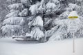 Nature covered in the snow during cold Winter in the country on the hills. Royalty Free Stock Photo