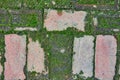 Nature covering covered bricks on ground with moss, lichen, background asset of wall