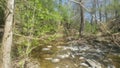 Nature, creek,woods,peace,serenity