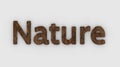 Nature - 3d word brown on white background. fresh Grass letters isolated illustration. nature animals and mother, ecosystem and