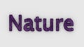 Nature - 3d word purple on white background. fresh Grass letters isolated illustration. nature animals and mother, ecosystem and