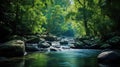 nature daintree rainforest australias Royalty Free Stock Photo