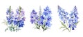 nature delphinium flowers watercolor ai generated Royalty Free Stock Photo