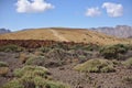 Nature in the desert, bush, mountains, islands, stones and bushes, plants under the scorching sun, red mountain