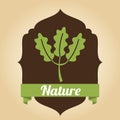 Nature design Royalty Free Stock Photo