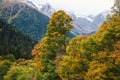 Nature of Dombay in autumn season, beautiful aerial view from the top of the cliff, large aged pines on the snowy peaks of