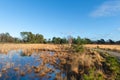 Nature in Dutch Leersummer veld