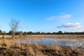 Nature in Dutch Leersummer veld