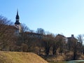 Park in the city nature water reflection blue sky in lake green grass tree ducks swim in the lake Old Town Of Tallinn Estonia Royalty Free Stock Photo