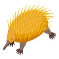 Nature echidna icon isometric vector. Cute animal Royalty Free Stock Photo