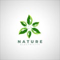 Nature Electricity Logo - clean energy solution Logo Royalty Free Stock Photo