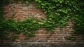 nature empty brick wall Royalty Free Stock Photo