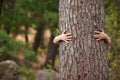 Nature, environment and person with a tree hug for sustainability, planet love and ecology. Forest, earth day and hands