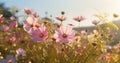 beautiful background nature meadow blooming pink countryside sunset field flower violet. Generative AI. Royalty Free Stock Photo