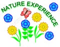 Nature experience