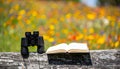 Nature Exploration with Book and Binoculars in a Meadow Royalty Free Stock Photo