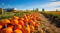 nature fall weather country landscape