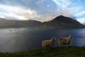 Nature in the Faroe Islands