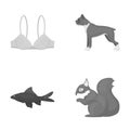 Nature, fauna, ecology and other web icon in monochrome style. forest, nuts, business icons in set collection. Royalty Free Stock Photo