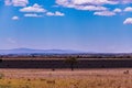 Nature Fields Meadows Cloud Sky Kenyan Landscape Nairobi National Park Only City Park In The World Nairobi City County Kenya